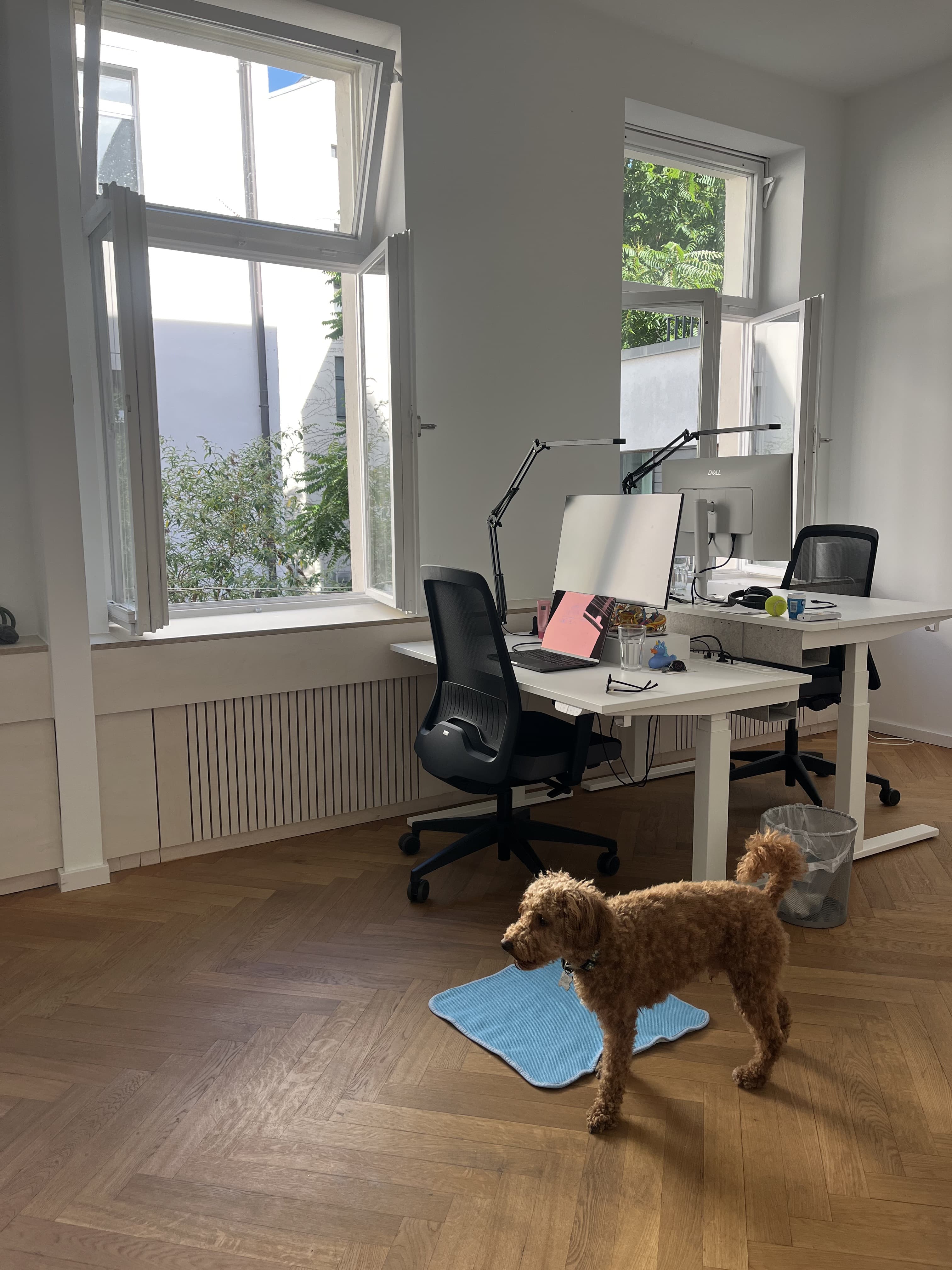 Life at Nomerra — 3